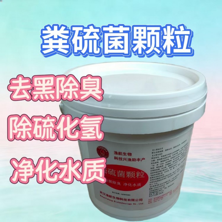 粪硫菌颗粒｜底泥除臭脱硫活化底质专用产品