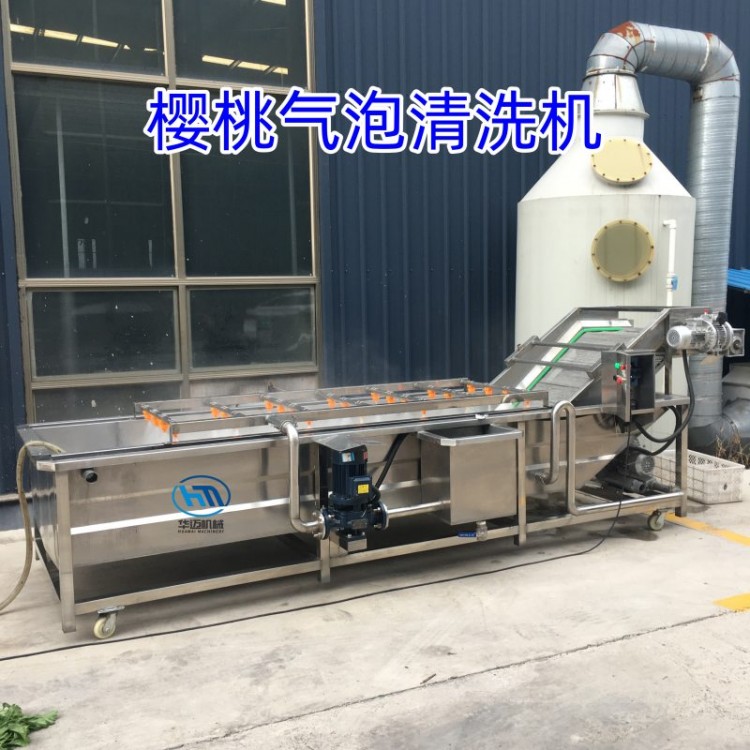 樱桃气泡清洗机 连续式桑葚清洗机器 蓝莓喷淋清洗去杂设备