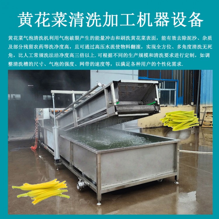黄花菜深加工设备｜全自动黄花菜清洗杀青烘干生产线-诚达机械