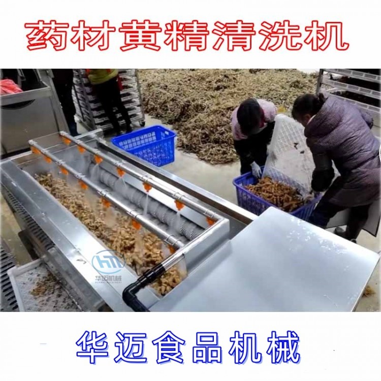 黄精去皮清洗机 全自动毛辊清洗机 中药材毛刷清洗机