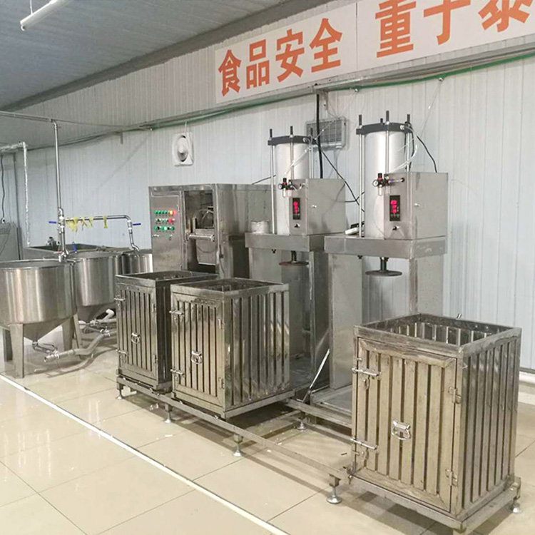 自动化豆腐干生产线