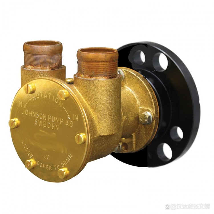 原装进口Johnson Pump泵