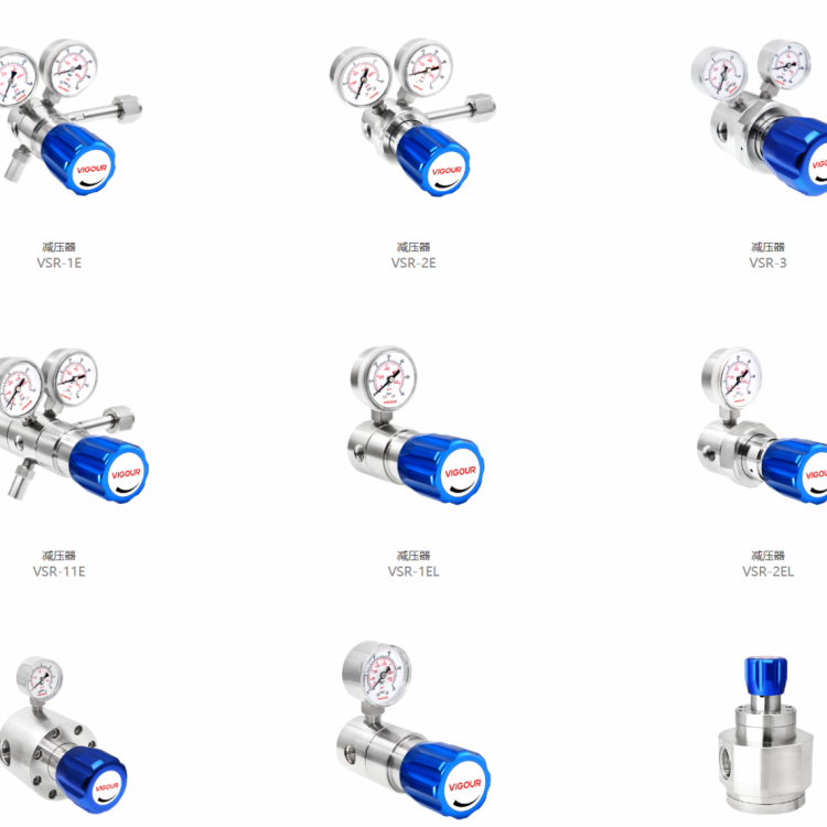 VIGOUR全系高纯特气供气面板阀门VSR-1VSP-3AE