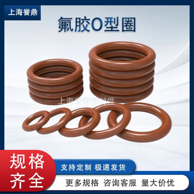 FKM氟胶O型圈 耐高温耐腐蚀密封圈