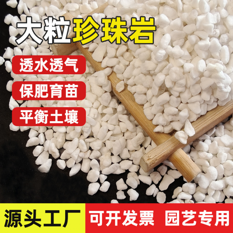 珍珠岩无尘大颗粒养花通用营养土多肉兰种植育苗膨胀保温硬质植料