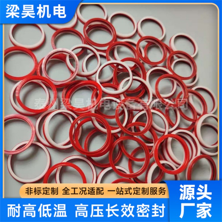 多规格弹簧旋转O型密封圈泛塞封批发水刀增压器润滑密封配件