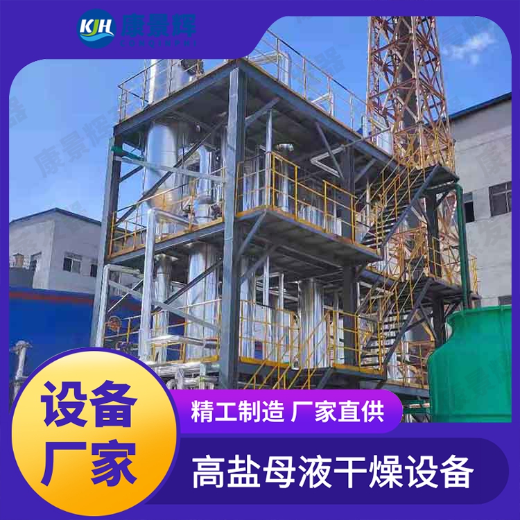 高盐废水处理 脱硫废水蒸发器 含盐废水处理 定制
