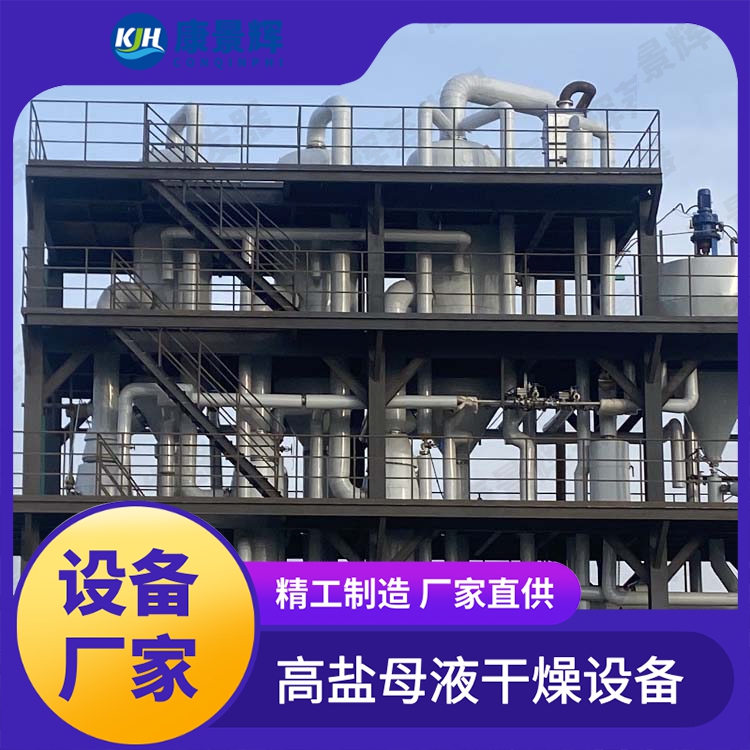 脱硫脱硝废水强制循环MVR蒸发器 康景辉 氯化钠浓缩