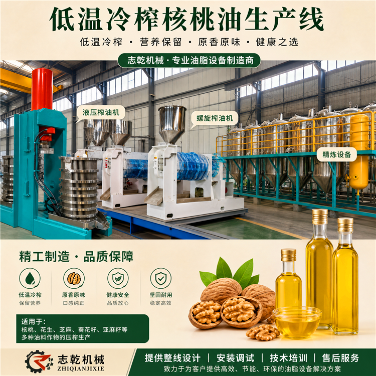 加工核桃油设备 冷榨食用油生产线设备 有机植物油榨油机械