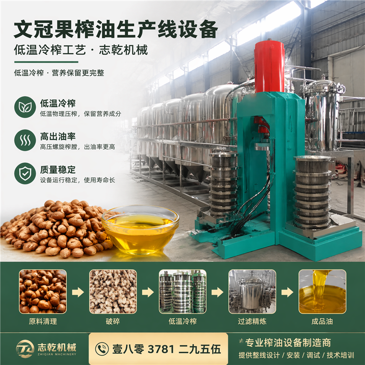 冷榨文冠果油设备 低温加工植物油设备 压榨精炼生产线设备