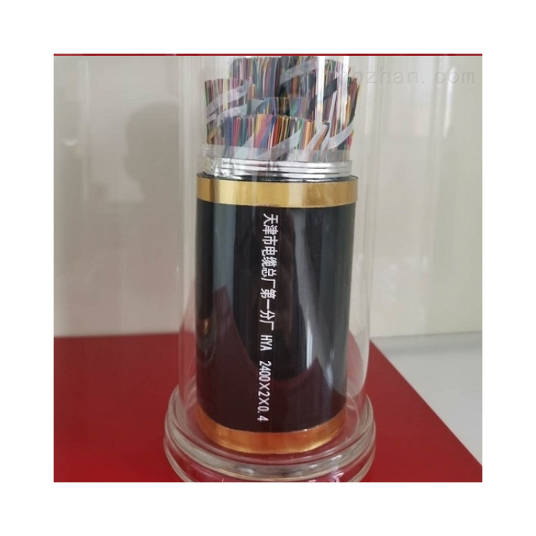 电话电缆HYAT53   10x2x0.5mm
