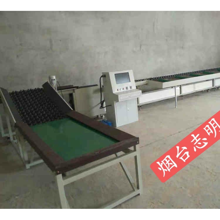 蜜桔橙子多功能两用型清洗选果机