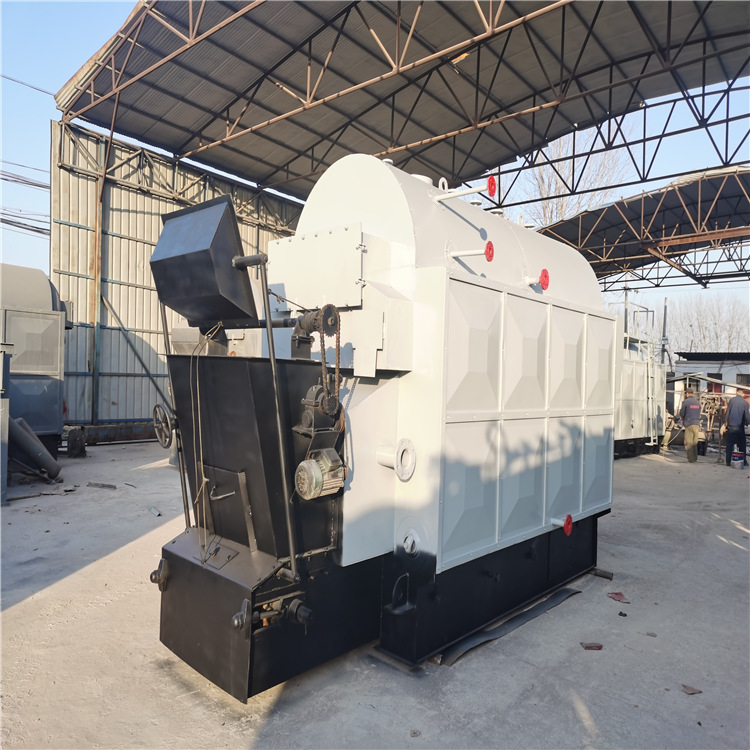 生物质热水锅炉 供暖使用 燃煤链条锅炉 DZL4.2mw