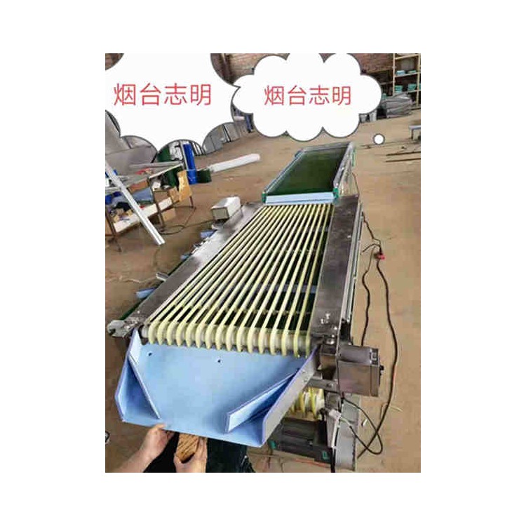 甜瓜土豆清洗选果智能滚筒设备