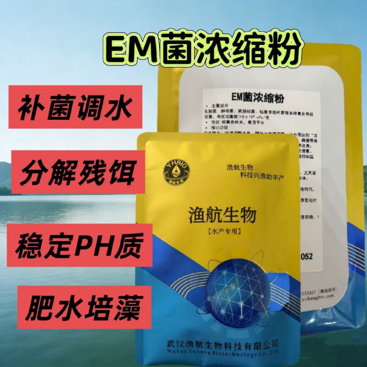 EM菌浓缩粉高密度循环池调水益生菌 水产复合菌剂厂家直供