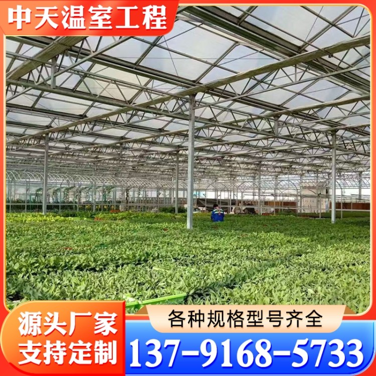 玻璃大棚 诚信商家推荐中天温室工程