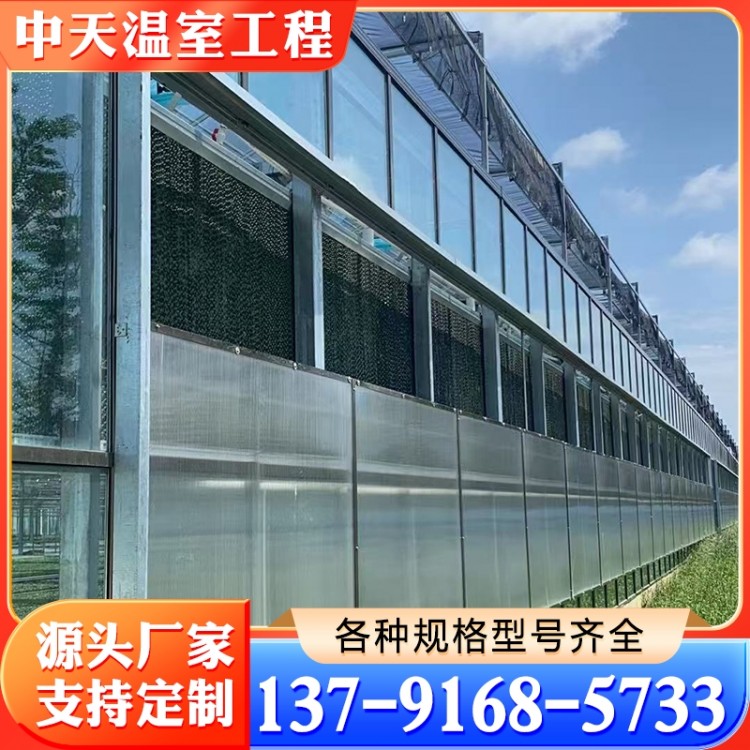 智能温室 中天温室工程 规格齐全