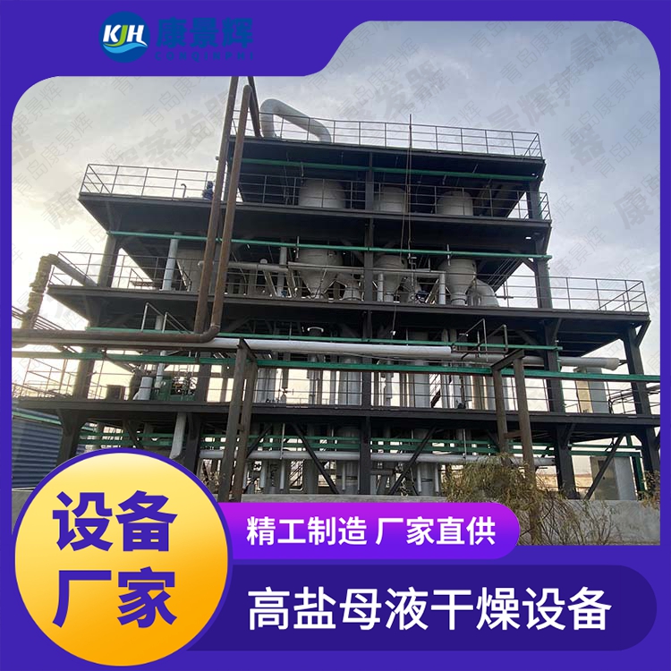 垃圾焚烧飞灰处理 工业杂盐废水处理 MVR蒸发器 多型号