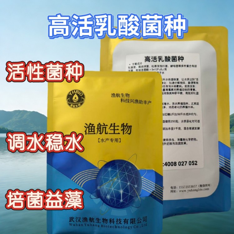 广东生鱼高密度塘乳酸菌种哪家好 自行扩培调水实操推荐