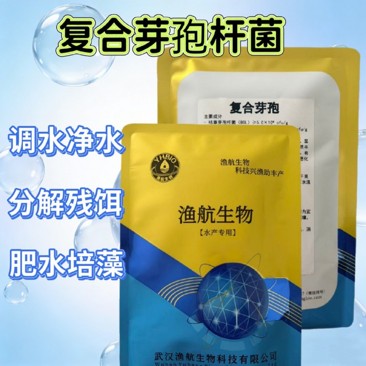 河南黄鳝网箱水产芽孢杆菌哪家好 高密度塘分解有机质实操推荐
