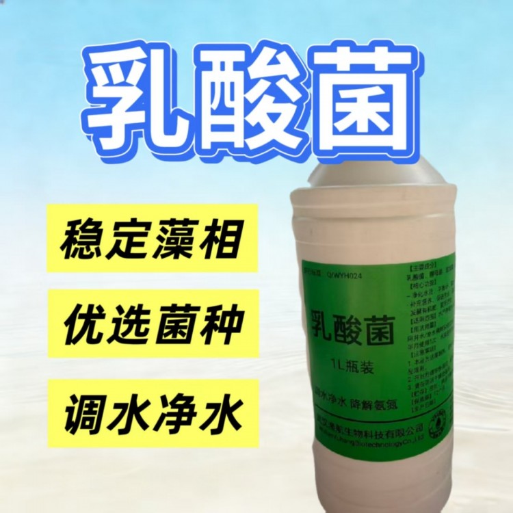 云南罗非鱼精养塘水产乳酸菌哪家好 高原塘平衡菌相实操推荐