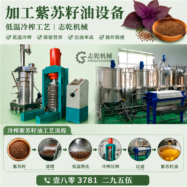 低温冷榨紫苏油设备 物理加工苏籽油设备 有机植物油生产线设备