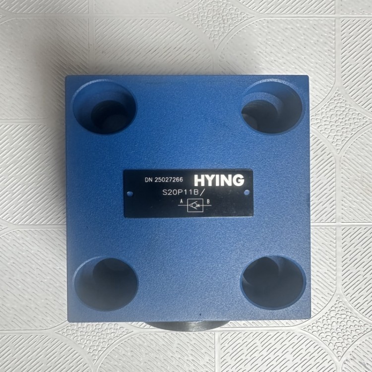 单向阀S20P11B