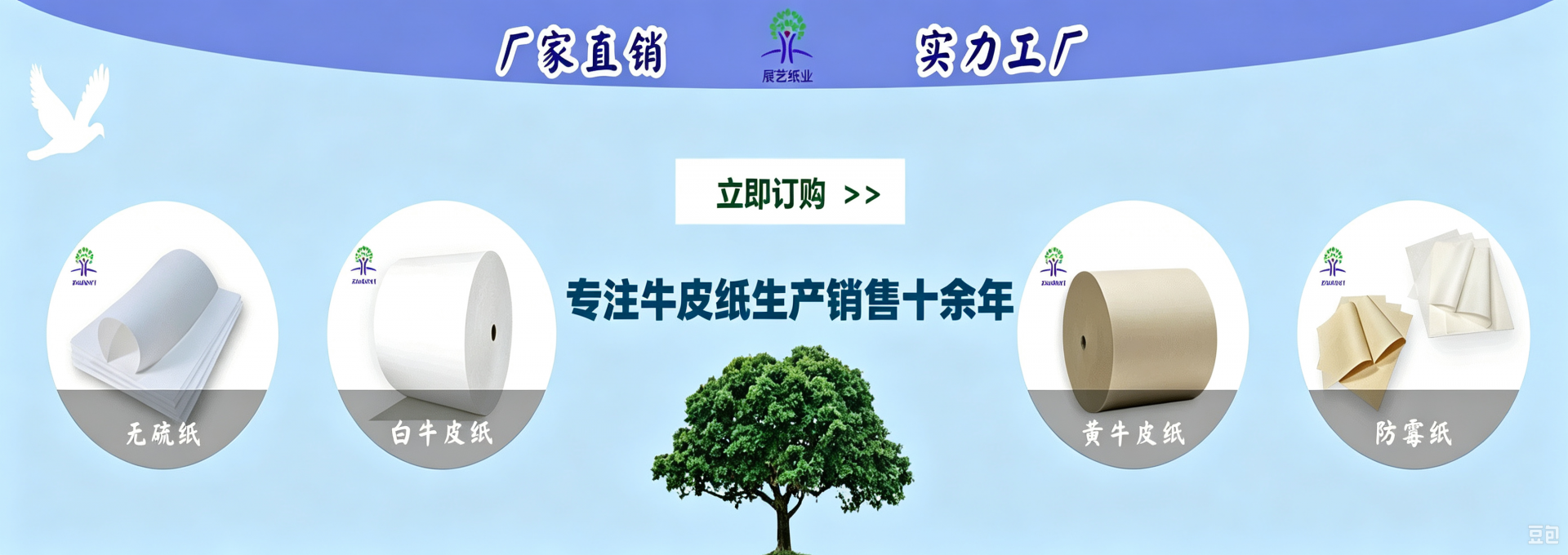 广东展艺纸业