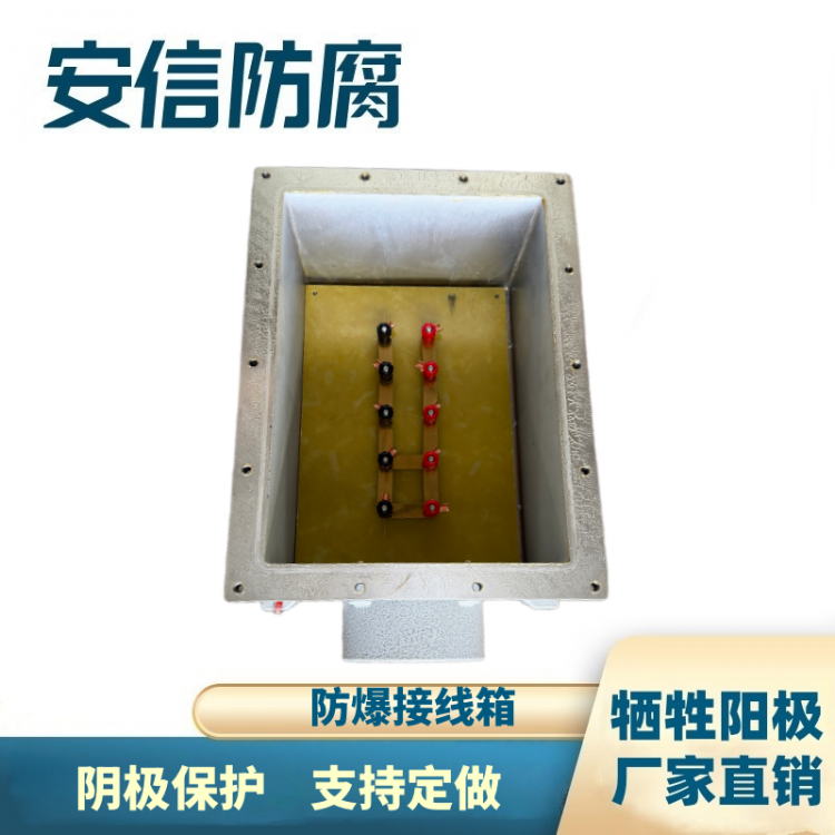 防爆接线箱 阴极保护箱 分线箱牺牲阳极汇流箱 直销可定做