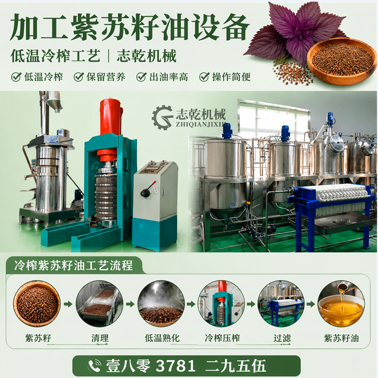 生产加工紫苏油设备 低温生榨苏子油机器 志乾毛油提纯精炼设备