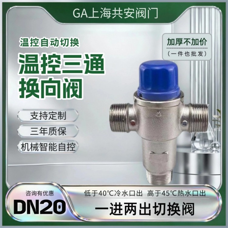 DN20自动换向阀