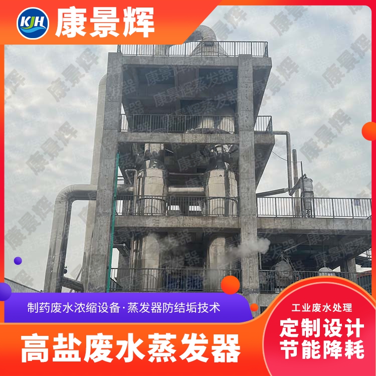 马铃薯淀粉废水处理蒸发器 MVR降膜蒸发器 废水浓缩设备