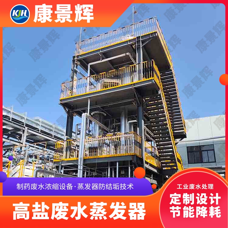 淀粉加工高有机废水蒸发设备 多效降膜蒸发器 定制生产