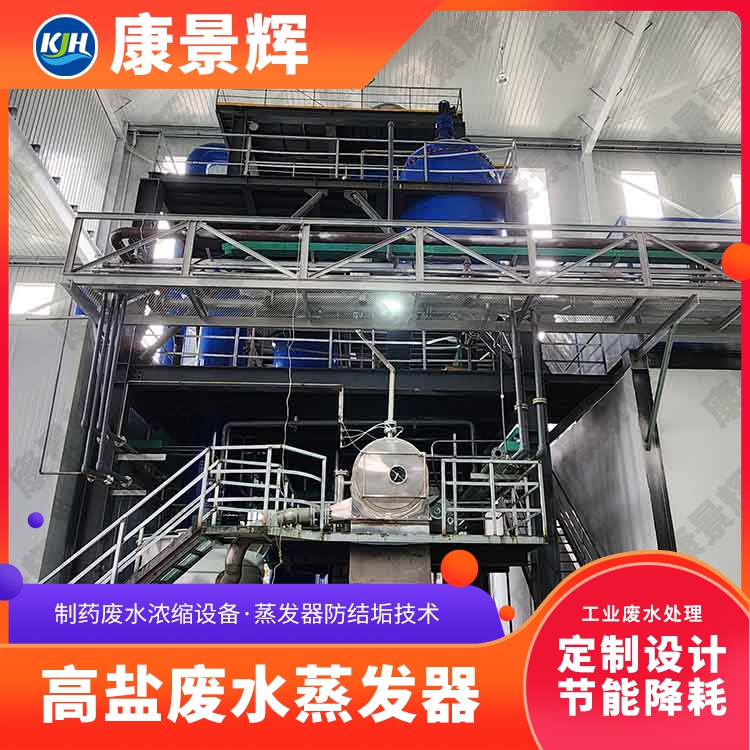 淀粉加工高有机废水蒸发设备 多效降膜蒸发器 定制生产