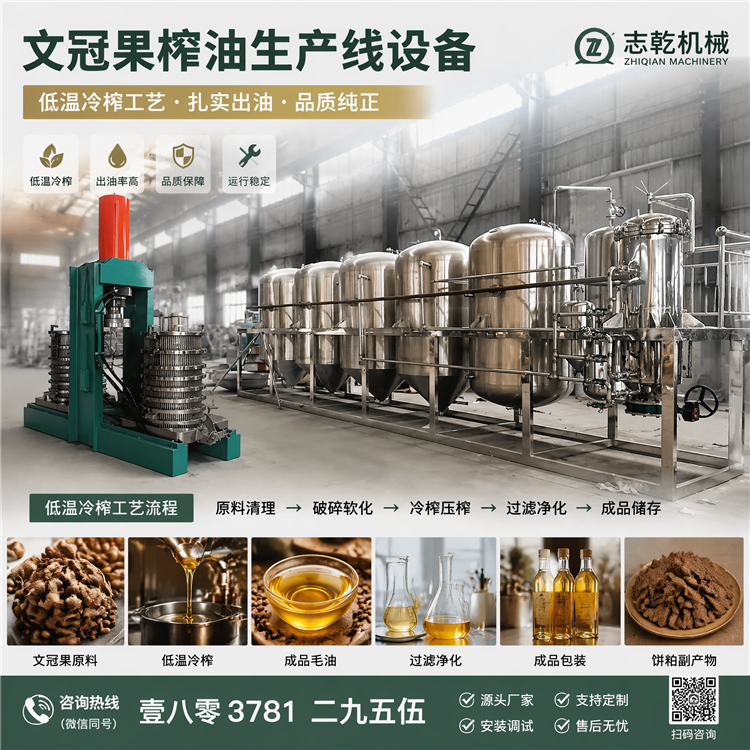 冷榨文冠果油生产线 文冠果油深加工设备 植物油提取神经酸设备
