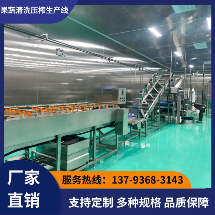 果蔬清洗压榨生产线
