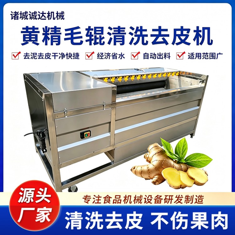 鲜黄精连续式清洗加工流水线 黄精毛辊气泡清洗蒸煮烘干加工设备